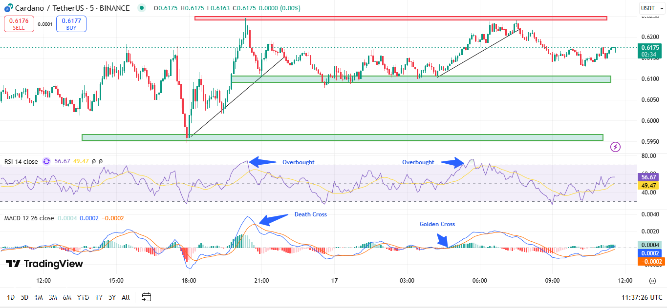 Cardano Price to splocket إلى 1.37 دولار أو تعطل إلى 0.30 دولار - ما هو التالي؟