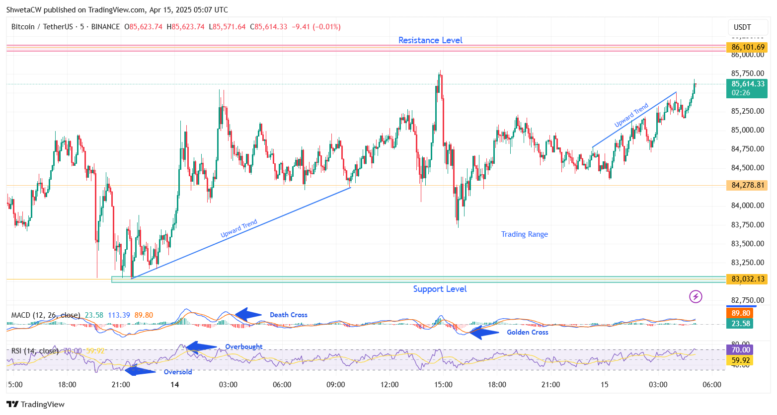 الشركات العامة تعزز Bitcoin Holdings بنسبة 16 ٪ في الربع الأول من عام 2025 - هل سيهدف سعر BTC إلى 88 ألف دولار بعد ذلك؟