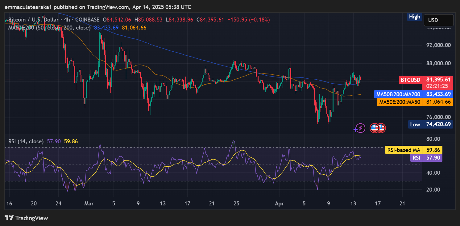 ما الذي يقود ارتفاع أسعار البيتكوين؟ هل 90 ألف دولار في الأفق؟